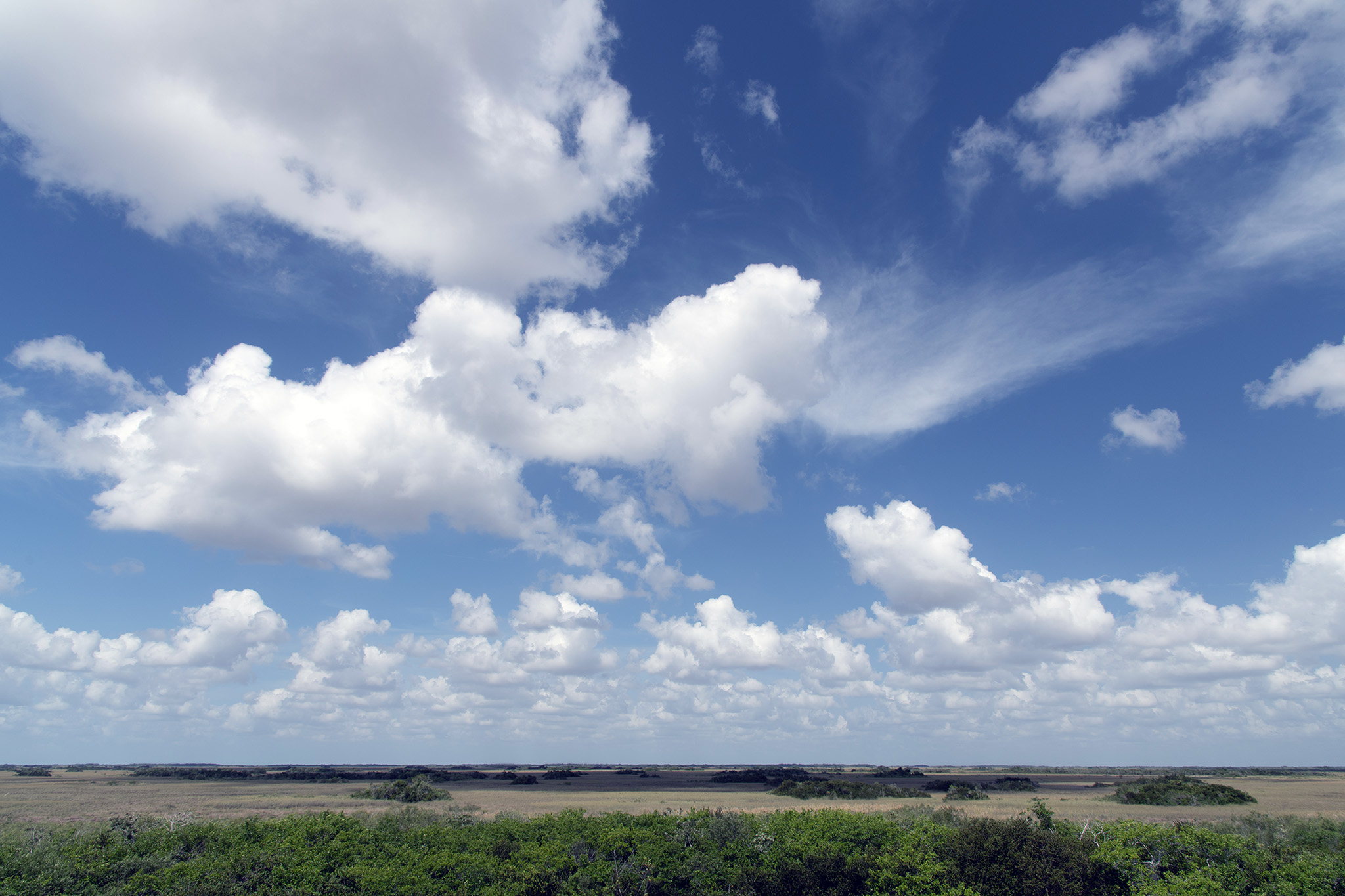 Everglades National Park