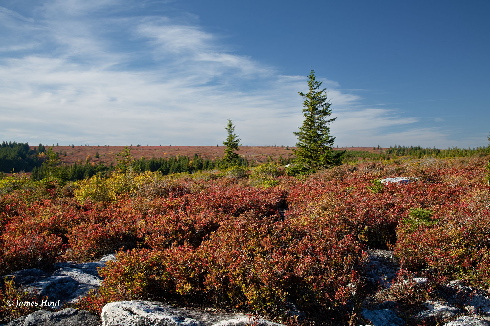 Dolly Sods WV